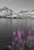 photo thumbnail #13
