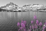 photo thumbnail #14