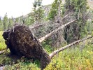 photo thumbnail #11