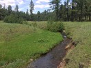 photo thumbnail #1