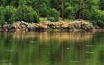 photo thumbnail #12