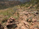 photo thumbnail #13