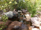 Featured Full Photo