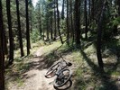 photo thumbnail #1