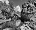 photo thumbnail #10