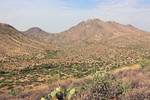 photo thumbnail #5