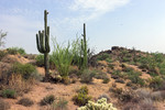 photo thumbnail #9