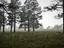 photo thumbnail #12