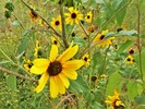 photo thumbnail #13