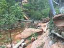 photo thumbnail #11