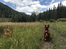 photo thumbnail #2