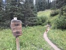 photo thumbnail #3