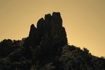 photo thumbnail #1