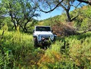 photo thumbnail #7