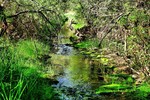 photo thumbnail #8