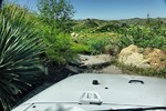photo thumbnail #13