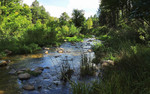 photo thumbnail #3