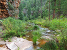photo thumbnail #5