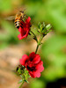 photo thumbnail #12