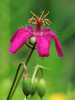 photo thumbnail #15