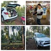 photo thumbnail #3