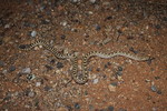 photo thumbnail #3