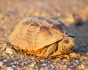 photo thumbnail #15