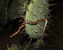 photo thumbnail #4