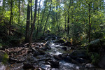photo thumbnail #9