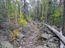photo thumbnail #4