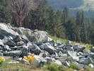 photo thumbnail #11
