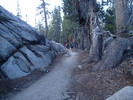 photo thumbnail #1
