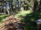 photo thumbnail #13