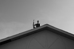 photo thumbnail #7