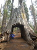 photo thumbnail #7