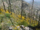 photo thumbnail #7