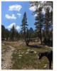 photo thumbnail #9