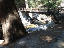 photo thumbnail #12