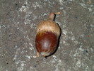 photo thumbnail #13