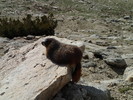 photo thumbnail #13