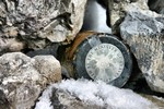 photo thumbnail #14