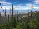 photo thumbnail #6