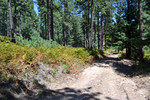photo thumbnail #8