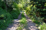 photo thumbnail #12