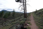 photo thumbnail #7