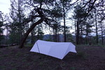 photo thumbnail #8