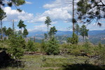 photo thumbnail #14