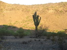 photo thumbnail #3