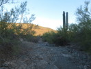 photo thumbnail #5
