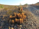 photo thumbnail #7